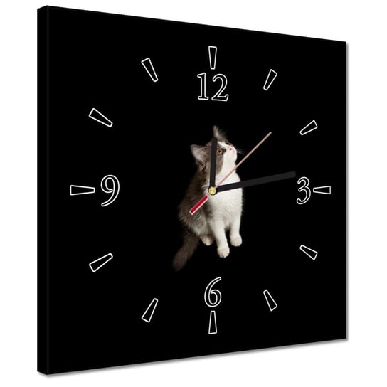 Zegar 30x30cm Śliczny mały szary kotek ZeSmakiem