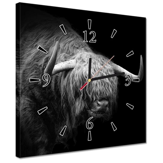 Zegar 30x30cm Szkocka krowa zwierze ZeSmakiem