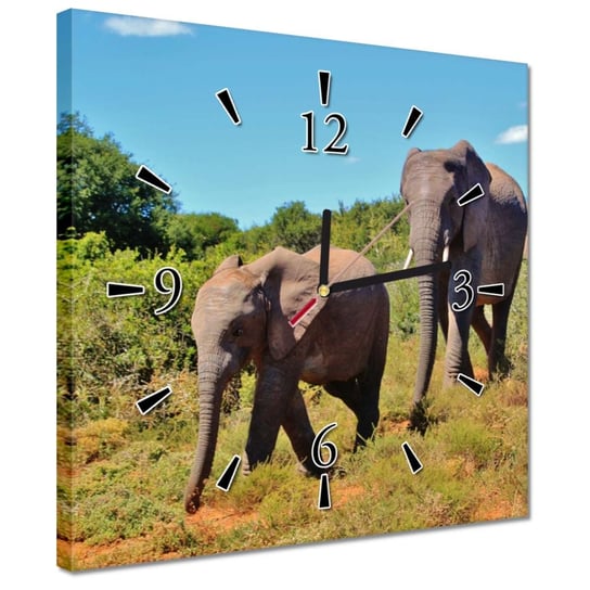 Zegar 30x30cm Wędrówka słoni ZeSmakiem