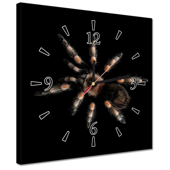 Zegar 30x30cm Wielka Tarantula pająk ZeSmakiem