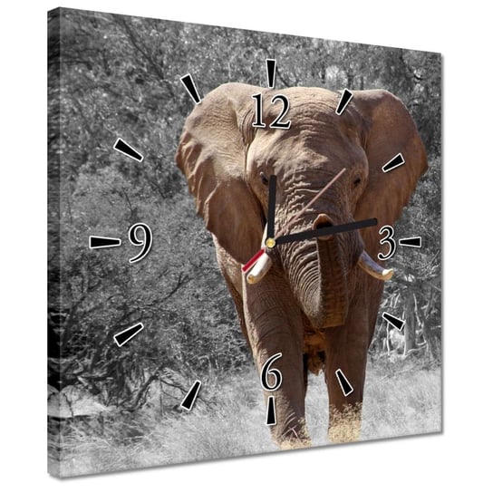 Zegar 30x30cm Wielki słoń ZeSmakiem