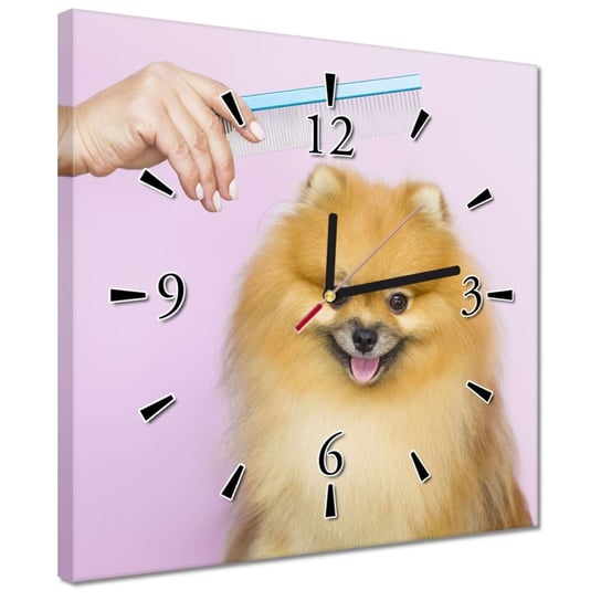 Zegar 30x30cm Wyczesywanie włosów psa Inna marka