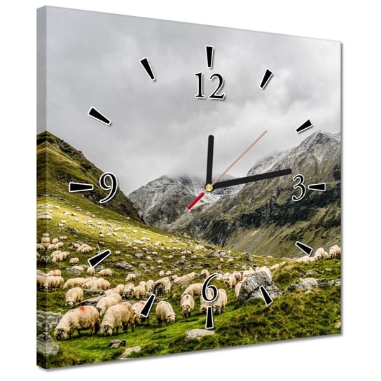 Zegar 30x30cm Wypas owiec Owieczki Owce ZeSmakiem