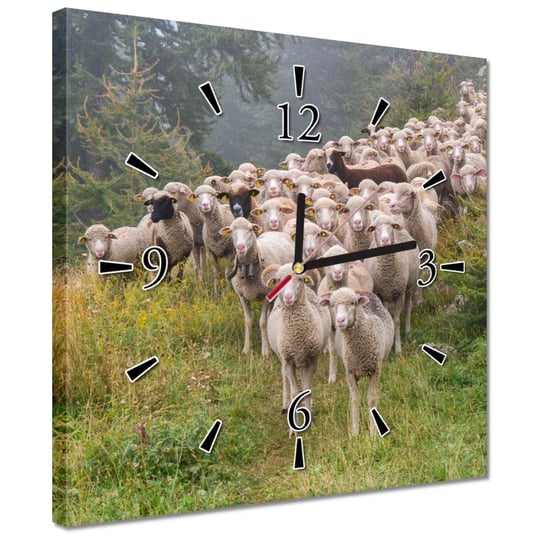 Zegar 30x30cm Wypas owiec Owieczki Owce ZeSmakiem