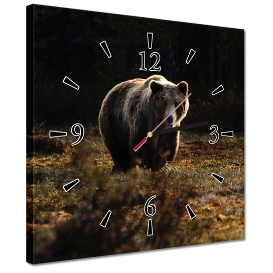 Zegar 30x30cm Zwierzęta Zwierzątka ZeSmakiem