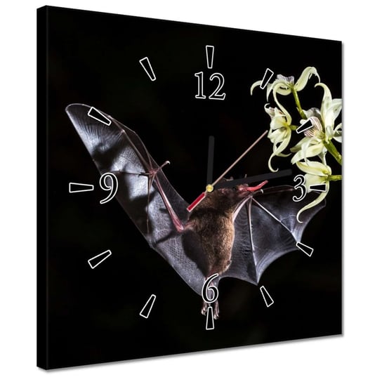 Zegar 30x30cm Zwierzęta Zwierzątka ZeSmakiem