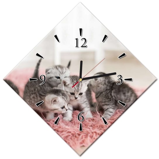 Zegar 42x42cm Pięć małych kotków ZeSmakiem