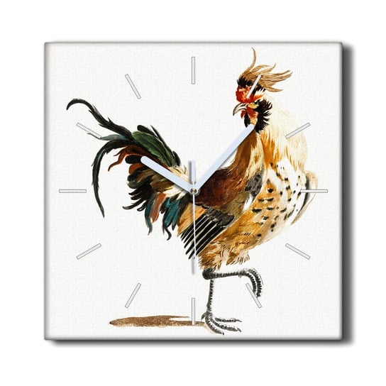 Zegar canvas na ścianę 30x30 Zwierzę ptak kurczak, Coloray Coloray