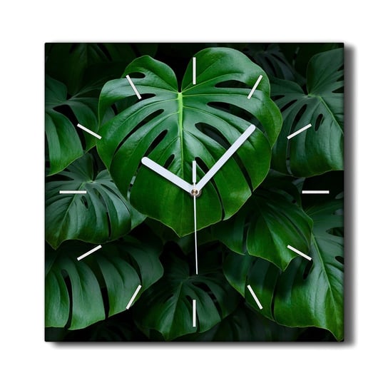 Zegar canvas na ścianę ozdoba 30x30 Liście rośliny, Coloray Coloray