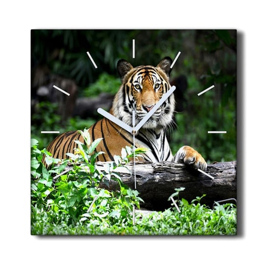 Zegar canvas ścienny 30x30 Las zwierzę kot tygrys, Coloray Coloray