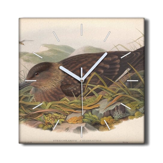 Zegar canvas ścienny 30x30 Ptaki zwierzęta beżowy, Coloray Coloray