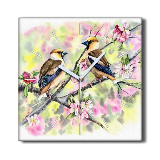 Zegar canvas ścienny cichy 30x30 Zwierzęta ptaki, Coloray Coloray