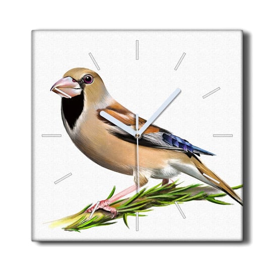 Zegar canvas ścienny do kuchni 30x30 Zwierzę ptak, Coloray Coloray