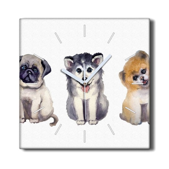 Zegar canvas ścienny do kuchni 30x30 Zwierzęta psy, Coloray Coloray