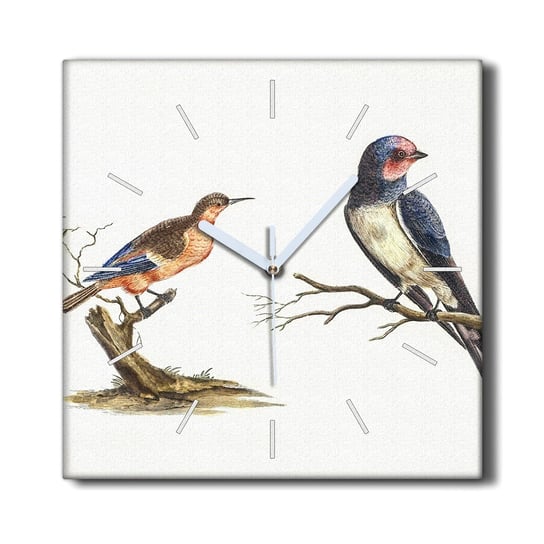 Zegar canvas wiszący ozdoba 30x30 Zwierzęta ptaki, Coloray Coloray
