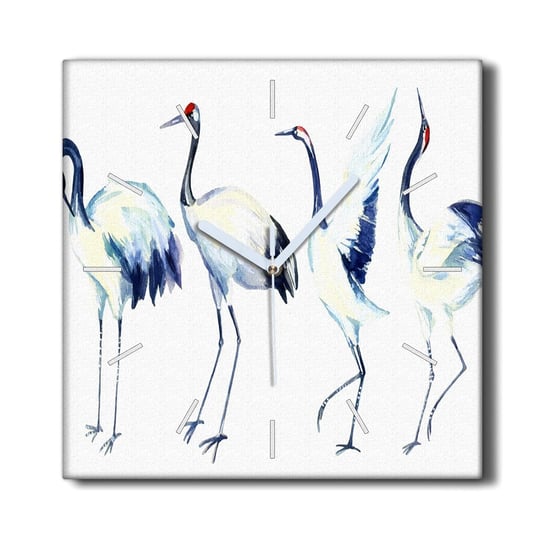 Zegar canvas z grafiką cichy 30x30 Zwierzęta ptaki, Coloray Coloray