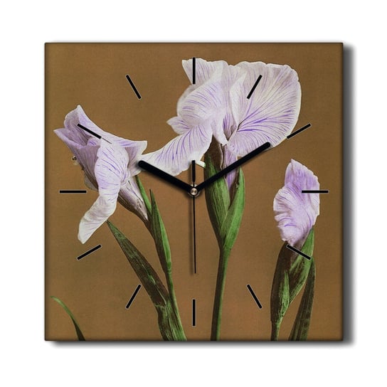 Zegar drukowany na płótnie Kwiaty rośliny 30x30 cm, Coloray Coloray