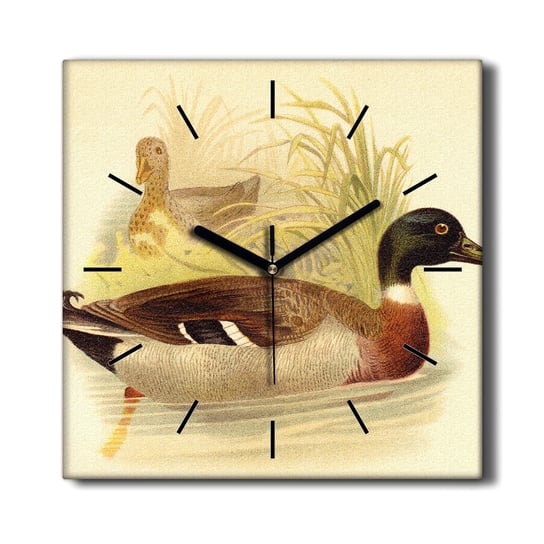 Zegar drukowany na płótnie obraz Zwierzęta 30x30, Coloray Coloray