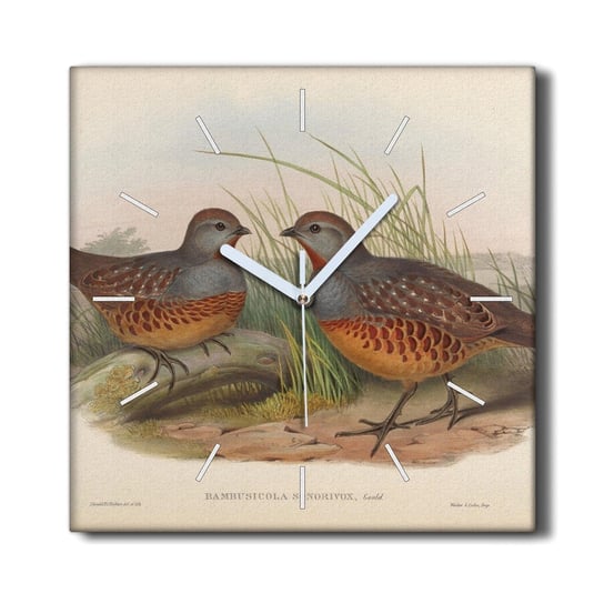 Zegar na płótnie 30x30 cm Ptaki zwierzęta rysunek, Coloray Coloray