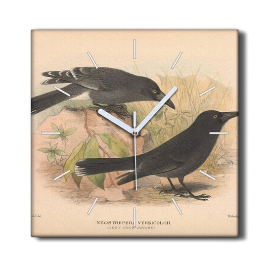 Zegar na płótnie 30x30 cm Ptaki zwierzęta rysunek, Coloray Coloray
