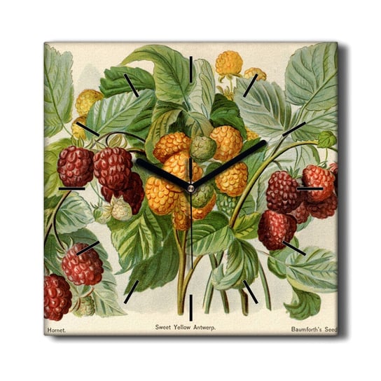 Zegar na płótnie cichy kwarcowy Owoce jagody 30x30, Coloray Coloray