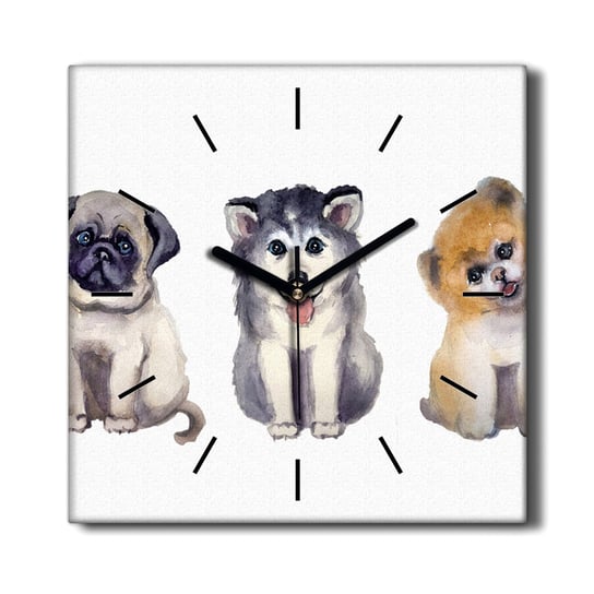 Zegar na płótnie do kuchni Zwierzęta psy 30x30 cm, Coloray Coloray