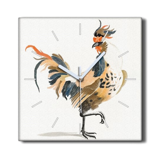 Zegar na płótnie na ramie 30x30 Zwierzę ptak kogut, Coloray Coloray