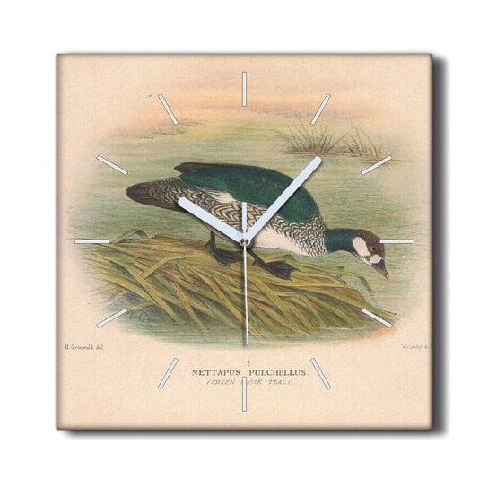 Zegar na płótnie na ścianę 30x30 cm Ptak rysunek, Coloray Coloray