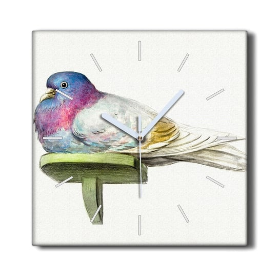 Zegar na płótnie ścienny 30x30 Zwierzę ptak gołąb, Coloray Coloray