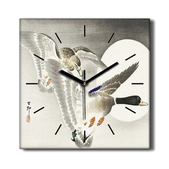 Zegar na płótnie Zwierzęta ptaki kaczki 30x30 cm, Coloray Coloray