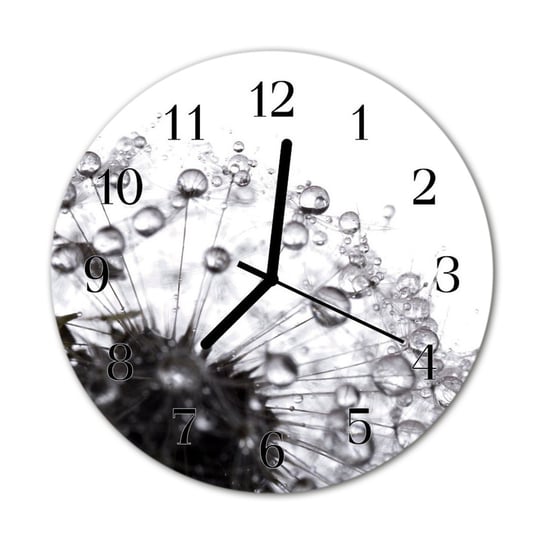 Zegar na szkle na ścianę Okrągły Dmuchawiec Kwiaty Tulup