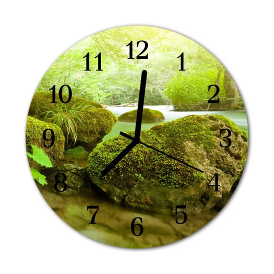 Zegar na szkle na ścianę Okrągły Natura Natura Tulup