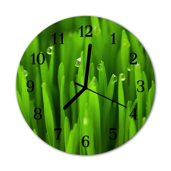Zegar na szkle na ścianę Okrągły Rosa na trawie Tulup