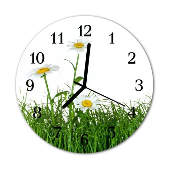 Zegar na szkle na ścianę Okrągły Stokrotki Kwiaty Tulup