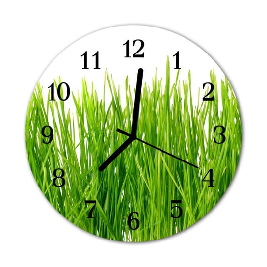 Zegar na szkle na ścianę Okrągły Trawa Natura Tulup