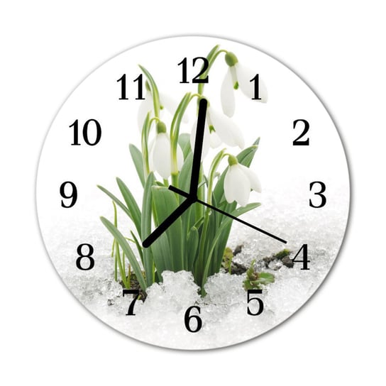 Zegar na szkle Okrągły Przebiśnieg Kwiaty Tulup