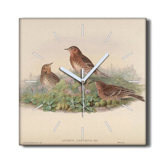Zegar płótno na ramie 30x30 Ptaki zwierzęta beżowy, Coloray Coloray