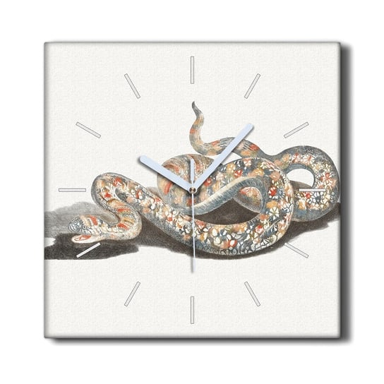 Zegar płótno na ramie na prezent 30x30 Zwierzę wąż, Coloray Coloray
