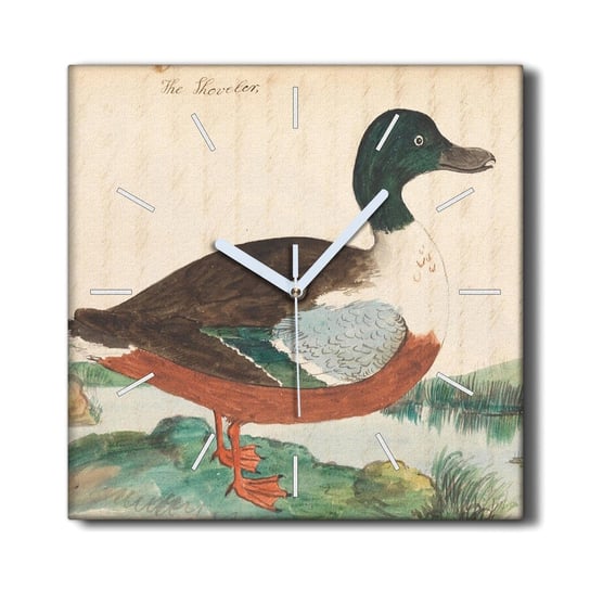 Zegar płótno na ramie z grafiką 30x30 Ptak rysunek, Coloray Coloray