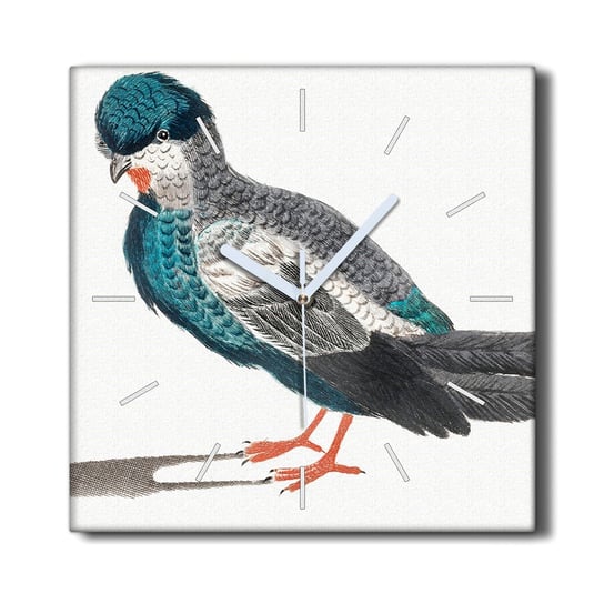 Zegar płótno na ramie z grafiką 30x30 Zwierzę ptak, Coloray Coloray