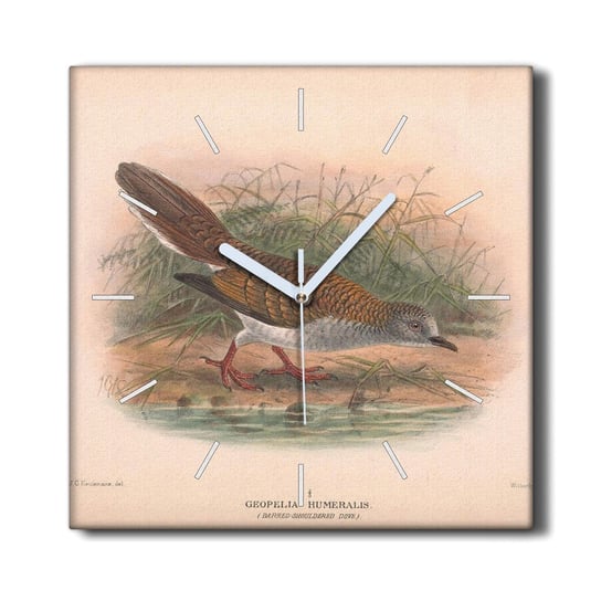 Zegar płótno ozdoba 30x30 Ptaki zwierzęta rysunek, Coloray Coloray