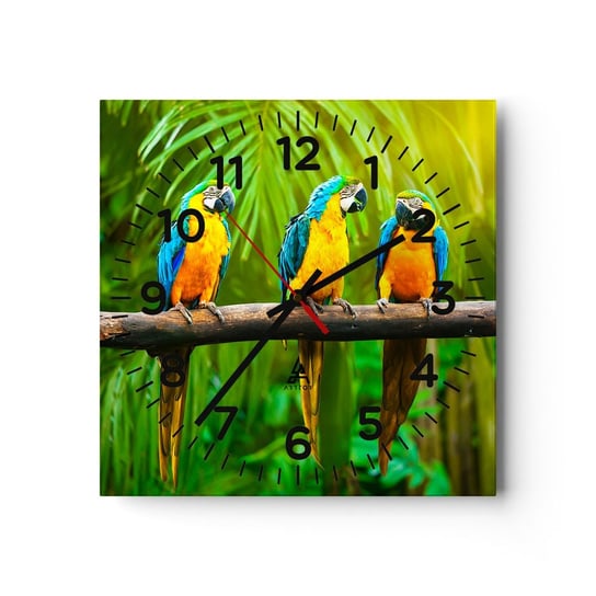 Zegar ścienny - A słyszałaś, że ona…? - 40x40cm - Ptaki Papugi Natura - Kwadratowy zegar szklany - Nowoczeny Stylowy Zegar do salonu do kuchni - Cichy i Modny zegar ARTTOR