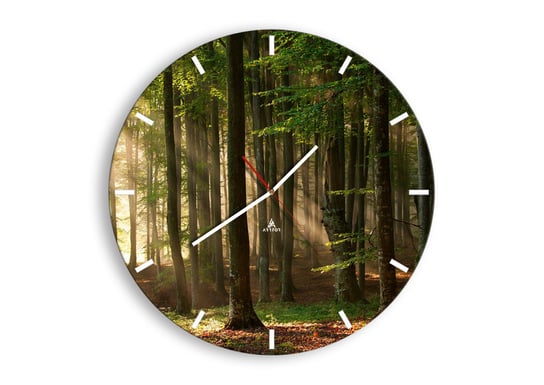 Zegar ścienny ARTTOR Rozpromieniony w wiosenny poranek - las drzewa chrust, C3AR50x50-3628, 50x50 cm ARTTOR