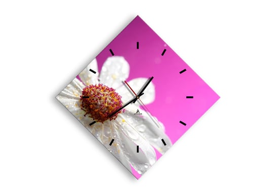 Zegar ścienny ARTTOR Skromny w swojej urodzie - kwiat rosa, C3AD40x40-2469, 57x57 cm ARTTOR
