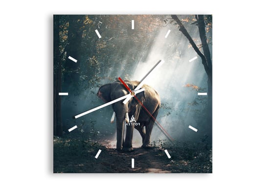Zegar ścienny ARTTOR Spokojna przechadzka - słoń las dżungla, C3AC30x30-3972, 30x30 cm ARTTOR