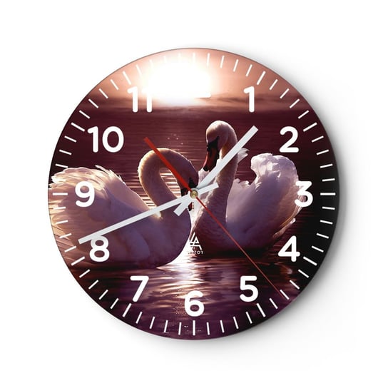 Zegar ścienny - Aż śmierć nas nie rozłączy - 30x30cm - Zwierzęta Krajobraz Łabędzie - Okrągły zegar ścienny - Nowoczeny Stylowy Zegar do salonu do kuchni - Cichy i Modny zegar ARTTOR