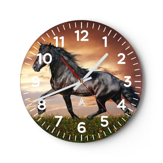 Zegar ścienny - Czarny książę - 30x30cm - Zwierzęta Koń Arabski Krajobraz - Okrągły zegar ścienny - Nowoczeny Stylowy Zegar do salonu do kuchni - Cichy i Modny zegar ARTTOR