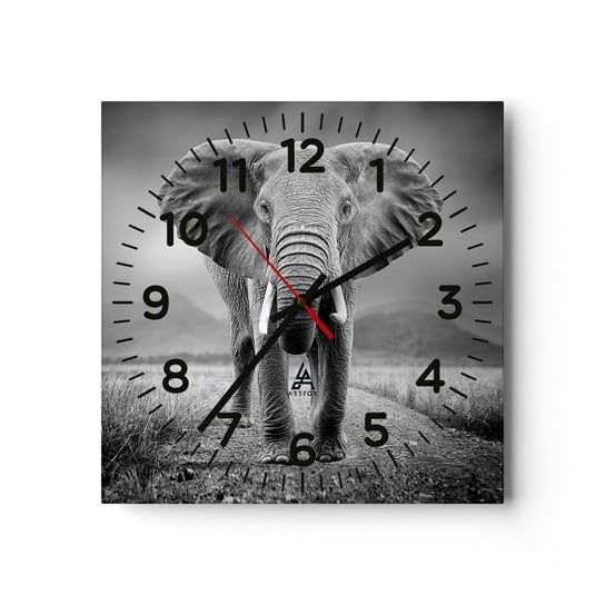 Zegar ścienny - Gospodarz wita - 30x30cm - Słoń Zwierzęta Krajobraz - Kwadratowy zegar ścienny - Nowoczeny Stylowy Zegar do salonu do kuchni - Cichy i Modny zegar ARTTOR