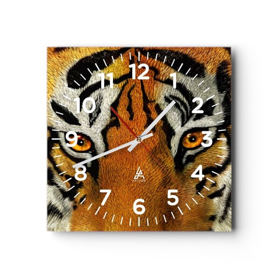 Zegar ścienny - Groźny i piękny - 40x40cm - Zwierzęta Tygrys Afryka - Kwadratowy zegar szklany - Nowoczeny Stylowy Zegar do salonu do kuchni - Cichy i Modny zegar ARTTOR