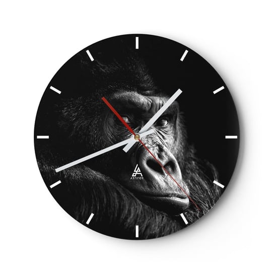 Zegar ścienny - I co się patrzysz? - 30x30cm - Małpa Goryl Zwierzęta - Okrągły zegar na szkle - Nowoczeny Stylowy Zegar do salonu do kuchni - Cichy i Modny zegar ARTTOR